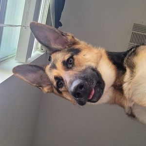 Meet your Posher, Chloe